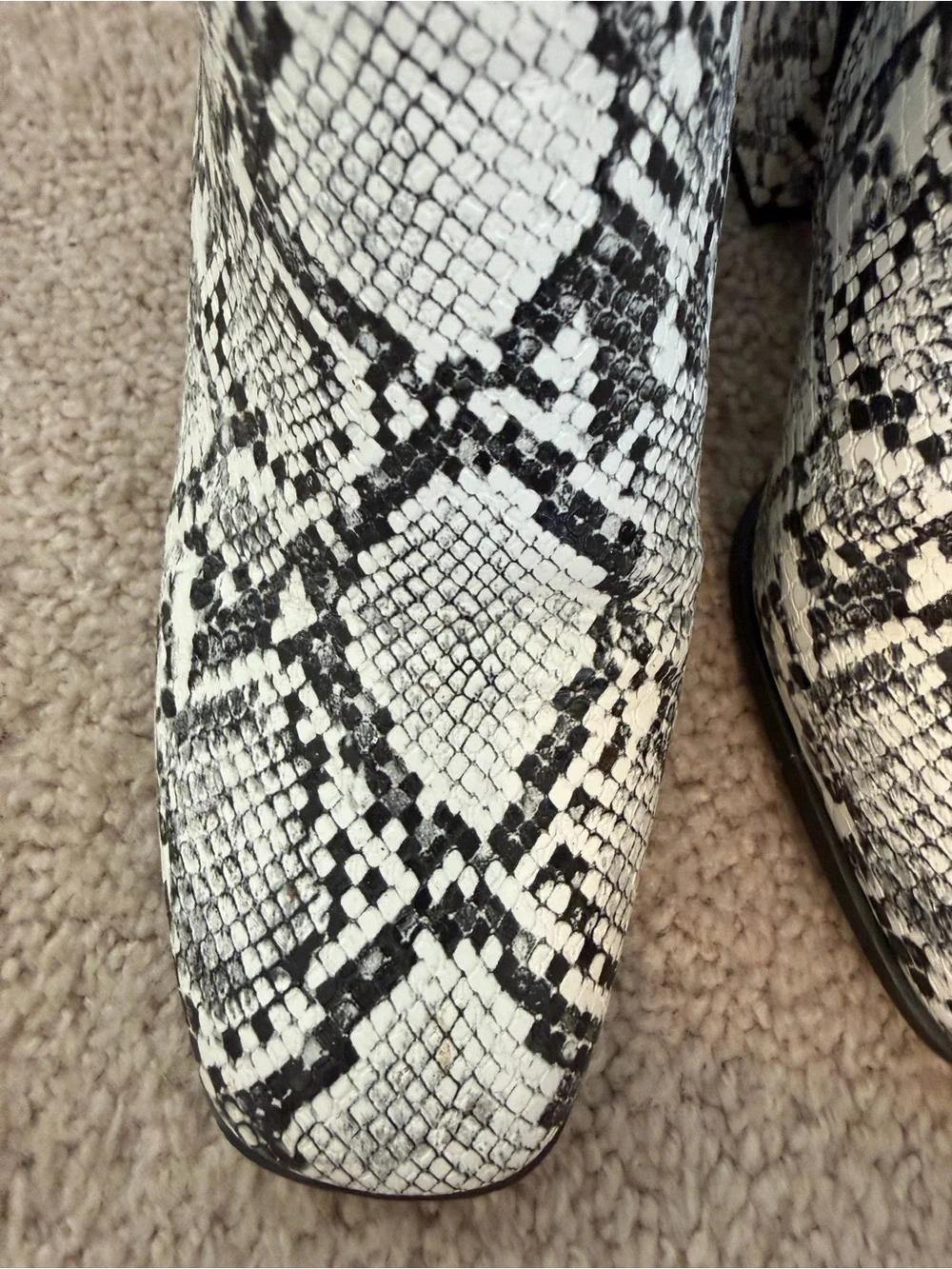 Mix no.6 Women’s Snake-Print Ankle Boots in Black and White - size 7